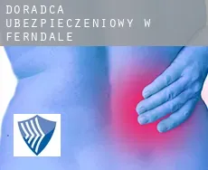 Doradca ubezpieczeniowy w  Ferndale