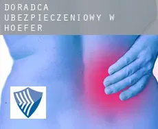 Doradca ubezpieczeniowy w  Hoefer