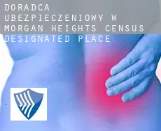 Doradca ubezpieczeniowy w  Morgan Heights