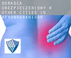 Doradca ubezpieczeniowy w  Other cities in Afyonkarahisar