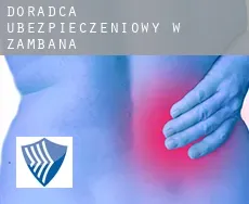 Doradca ubezpieczeniowy w  Zambana