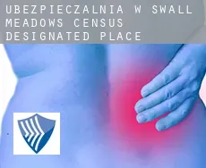 Ubezpieczalnia w  Swall Meadows