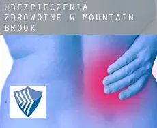 Ubezpieczenia zdrowotne w  Mountain Brook