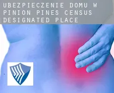 Ubezpieczenie domu w  Pinion Pines