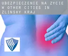 Ubezpieczenie na życie w  Other cities in Zlinsky kraj