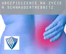 Ubezpieczenie na życie w  Schnaudertrebnitz