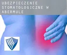 Ubezpieczenie stomatologiczne w  Abermule