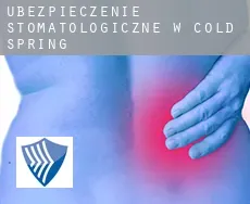 Ubezpieczenie stomatologiczne w  Cold Spring