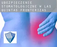 Ubezpieczenie stomatologiczne w  Las Quintas Fronterizas