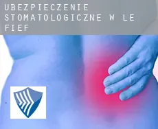 Ubezpieczenie stomatologiczne w  Le Fief