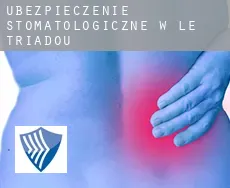 Ubezpieczenie stomatologiczne w  Le Triadou