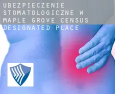 Ubezpieczenie stomatologiczne w  Maple Grove