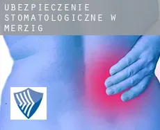 Ubezpieczenie stomatologiczne w Merzig
