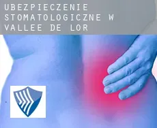 Ubezpieczenie stomatologiczne w  Vallée-de-l'Or