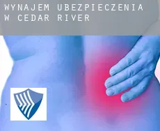 Wynajem ubezpieczenia w  Cedar River