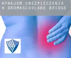 Wynajem ubezpieczenia w  Dromascoolane Bridge