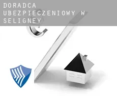 Doradca ubezpieczeniowy w Séligney