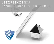 Ubezpieczenia samochodowe w  Tréfumel
