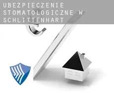 Ubezpieczenie stomatologiczne w  Schlittenhart