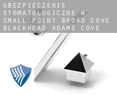 Ubezpieczenie stomatologiczne w  Small Point-Broad Cove-Blackhead-Adams Cove