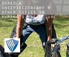 Doradca ubezpieczeniowy w  Other Cities in Kumamoto Prefecture