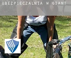 Ubezpieczalnia w  Giant