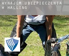 Wynajem ubezpieczenia w Halling