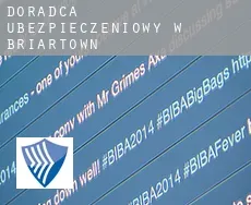 Doradca ubezpieczeniowy w  Briartown