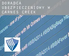 Doradca ubezpieczeniowy w  Carnes Creek