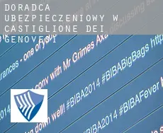 Doradca ubezpieczeniowy w  Castiglione del Genovesi