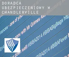 Doradca ubezpieczeniowy w  Chandlerville