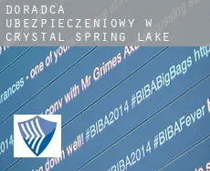Doradca ubezpieczeniowy w  Crystal Spring Lake
