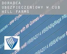 Doradca ubezpieczeniowy w  Cub Hill Farms