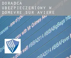 Doradca ubezpieczeniowy w  Domèvre-sur-Avière