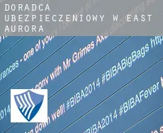 Doradca ubezpieczeniowy w  East Aurora