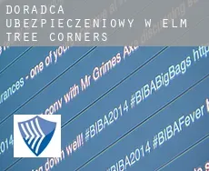 Doradca ubezpieczeniowy w  Elm Tree Corners