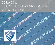 Doradca ubezpieczeniowy w  Háj ve Slezsku
