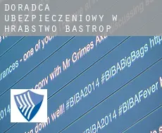 Doradca ubezpieczeniowy w  Hrabstwo Bastrop