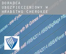 Doradca ubezpieczeniowy w Hrabstwo Cherokee