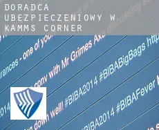 Doradca ubezpieczeniowy w  Kamms Corner