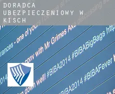 Doradca ubezpieczeniowy w Kisch