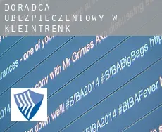 Doradca ubezpieczeniowy w  Kleintrenk