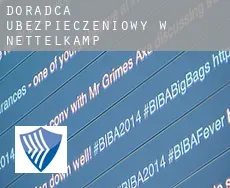 Doradca ubezpieczeniowy w  Nettelkamp