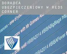 Doradca ubezpieczeniowy w  Reds Corner