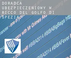 Doradca ubezpieczeniowy w  Riccò del Golfo di Spezia