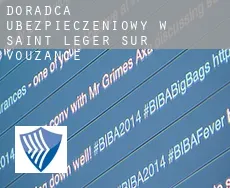 Doradca ubezpieczeniowy w  Saint-Léger-sur-Vouzance