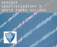 Doradca ubezpieczeniowy w  South Shore Village