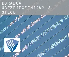 Doradca ubezpieczeniowy w  Stege