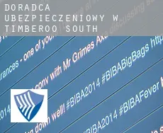 Doradca ubezpieczeniowy w  Timberoo South