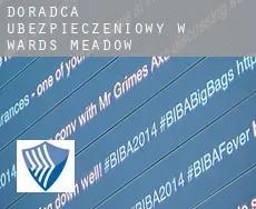 Doradca ubezpieczeniowy w  Wards Meadow